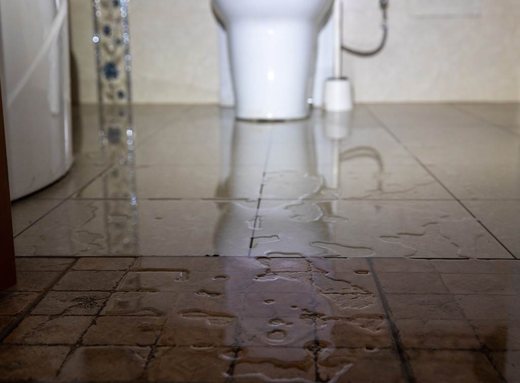 Fuite dans les sanitaires d'un établissement : hôtel, salle de sport, bureaux