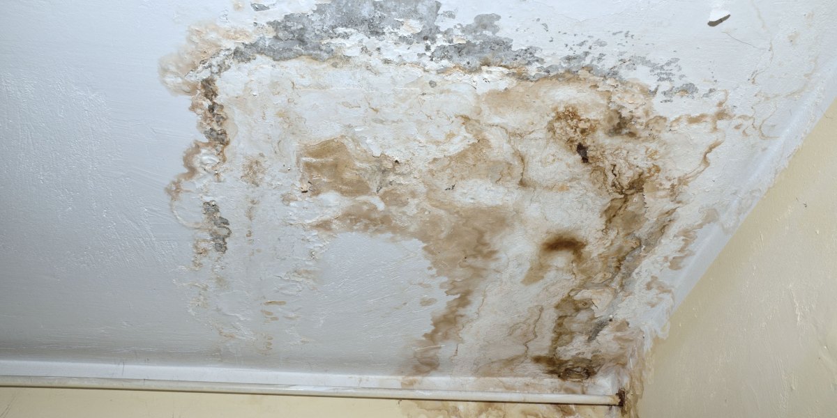 Fuite d'eau au plafond : que faire en urgence, causes et qui paie