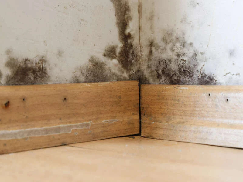Tache d’humidité suspecte liée à une fuite
