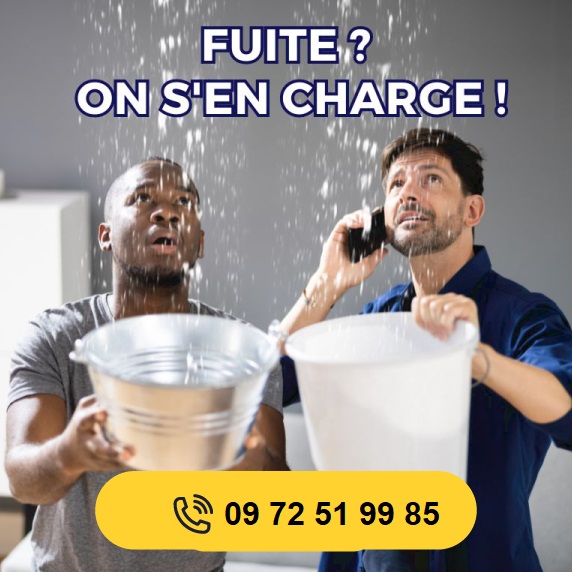 Spécialiste de la recherche de fuite d'eau non destructive avec équipement professionnel